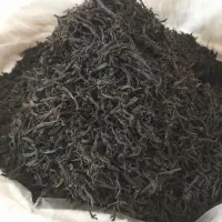 چای قلم لیزربهاره ۱۴۰۵