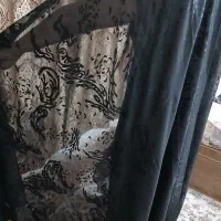چادر مجلسی