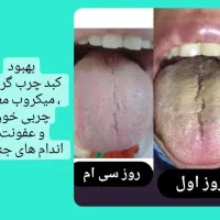 مزاجشناسی و سونوی دقیق بدنت