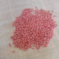 گندم وجو|خوردنی و آشامیدنی|هرسین, |دیوار