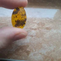 نگین کهربا|زیورآلات و اکسسوری|رشت, نظری|دیوار