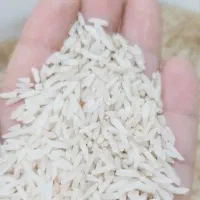 برنج دم سیاه خوش عطر و خوشپخت اعلا|خوردنی و آشامیدنی|گنبد کاووس, |دیوار