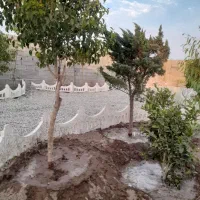 باغ و باغچه ۱۹۹ متری . دارای برق و آب و نگهبانی|فروش زمین و ملک کلنگی|شهریار, شهرک امیریه|دیوار