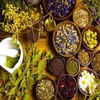 آموزش طب سنتی برای بانوان جویای کار وآموزش آنلاین