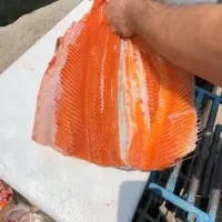 ماه قزل آلا