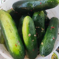خیارشور شیروان ب شرط مرجوعی|خوردنی و آشامیدنی|مشهد, توس (بلوار توس)|دیوار