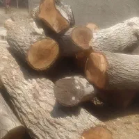 خرید انواع چوب باغی سقفی جنگلی بصورت نقد