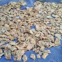 نان خشک نانوایی
