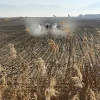 سم پاشی هوایی پهپاد