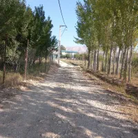 باغچه
