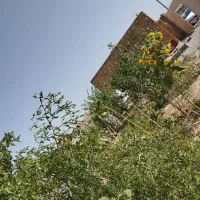 باغ-ویلا-زمین-سرمایه-گذاری-شرکت-نیروگاه-خورشیدی