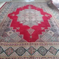 فرش ۱۲ متری ماشینی|فرش|زنجان, |دیوار