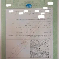 زمین-بزرگ-خالو-باغ-سالمندان