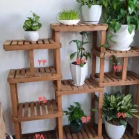 استند گل و گیاه|گل و گیاه طبیعی|امیدیه, |دیوار