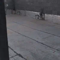 منزل اجاره بندر پرک