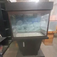 آکواریوم
