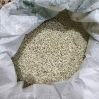 برنج عنبر بو امسال و