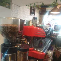 استخدام نیروی خانم خوش برخورد در کافه