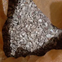 بادام برای خوراک مرغ و جوجه