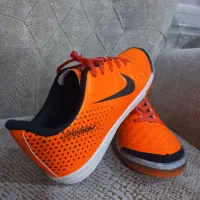 کفش سالنی سایز ۴۳|تجهیزات ورزشی|مراغه, |دیوار