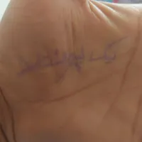 برای فروش|حیوانات مزرعه|شیراز, دشت چنار|دیوار