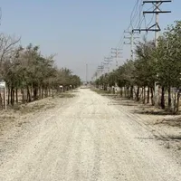 ۱۲۰۰ متر زمین سهیلیه شهرک کامرانیه