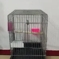 قفس عروس هلندی یا طوطی