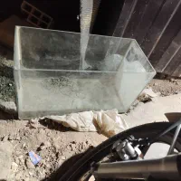 اکواریوم ماهی