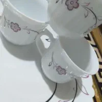 ظروف آرکوپال|ظروف سرو و پذیرایی|بجنورد, |دیوار