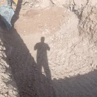 اجاره مینی بیل مکانیکی لاستیکی|خدمات پیشه و مهارت|صدرا-فارس, فاز ۱|دیوار