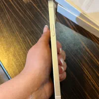 ایفون 14 پلاس|موبایل|تهران, شهر زیبا|دیوار