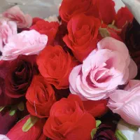 تعدادی گل|گل مصنوعی|بومهن, |دیوار
