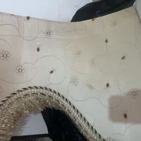 حراج پرده|پرده، رانر، رومیزی|ساری, |دیوار
