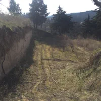 زمین-خیابان-جلیلی