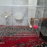 سه عدد قفس با قیمت مناسب|لوازم جانبی حیوانات|سبزوار, پاسداران|دیوار