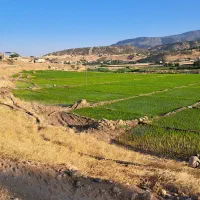 ملک-کشاورزی-صنعتی