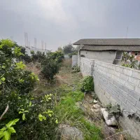 فروش زمین مسکونی ۲۶۰ متری با پروانه ساخت/سندتک برگ|فروش زمین و ملک کلنگی|کیاکلا, |دیوار