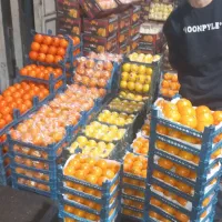 تهیه میوه ازصفرتاصد برای مغازه میوه فروشی تالاررا|عمدهفروشی|تهران, خانی آباد نو شمالی|دیوار