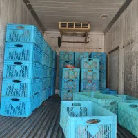 به یک راننده پایه 2