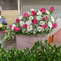 باکس گل طبیعی|گل و گیاه طبیعی|تهران, امامت|دیوار