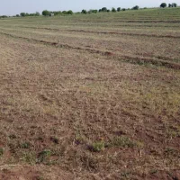 فروش زمین گهمال بالاتر از حاجی آباد|فروش دفتر صنعتی، کشاورزی، تجاری|لردگان, |دیوار