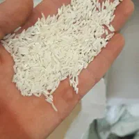 برنج ایرانی|خوردنی و آشامیدنی|مهربان, |دیوار