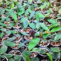 استخدام سرایدار با امکانات رفاهی