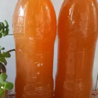 آبغوره تاکستان