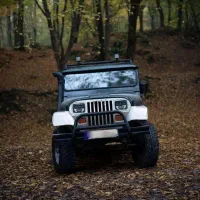 جیپ صحرا ،مدل کالسکه|خودرو سواری و وانت|گرگان, |دیوار