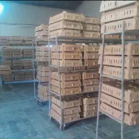 مجموع طیورسلامت ولیعصر جوجه رنگی اردک )محلی گوشتی|حیوانات مزرعه|تهران, بازار|دیوار