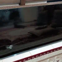 تلویزیون جی پلاس