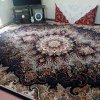 فرش ماشینی 12 متری|فرش|سبزوار, پیروزی|دیوار