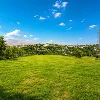 فروش-زمین-بزرگ-در-جیلارد
