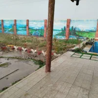 هم خانه رایگان